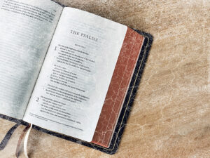 psalms of king david