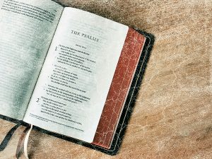 PSALMS OF KING DAVID